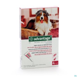 Advantage 250 Chiens 10-25kg 4x2,5ml