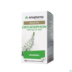 Arkogelules Orthosiphon...