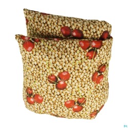 Coussin Noyaux Cerises...