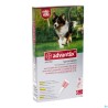 Advantix 250/1250 Chiens 10-25kg Fl 6x2,5ml