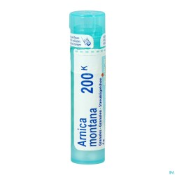 Arnica Montana 200k Gr 4g...