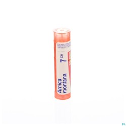 Arnica Montana 7ch Gr 4g...