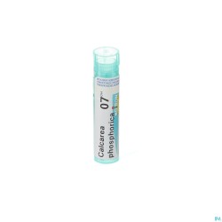 Calcarea Phosphorica 7ch Gr 4g Boiron