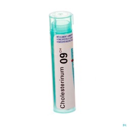 Cholesterinum 9ch Gr 4g Boiron