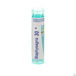 Staphysagria 30k Gr 4g Boiron