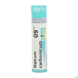 Natrum Carbonicum 9ch Gr 4g...