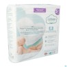 Cottony Baby Diapers Size 5 11 - 25kg 24