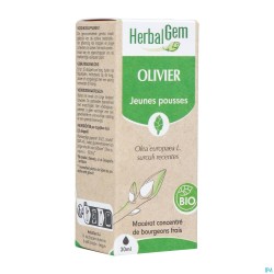 Herbalgem Olijfboom Bio 30ml