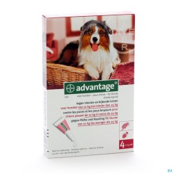 Advantage 250 Honden 10-25kg 4x2,5ml