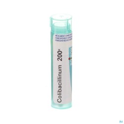 Colibacillinum 200k Gr 4g Boiron