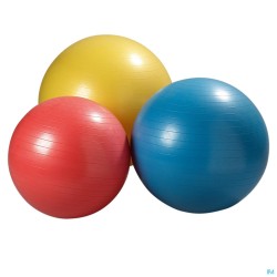 Jobri Exerswiss Therapy Ballon 45cm 32300501