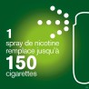 Nicorette Mint Spray Buccal 2x150 Sprays 1mg/spray