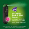 Nicorette Fruit & Mint 1mg Spray Dos 2x150