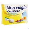 Mucoangin Menthe Past A Sucer 30x20mg