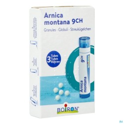 Arnica Montana 9ch Homeopack Gr 3x4g Boiron